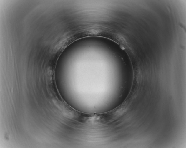 X0000099400366200805151711