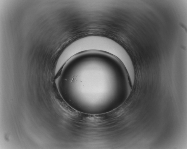 X0000099400367200805151711