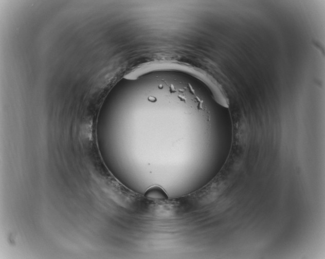 X0000099400368200805151711