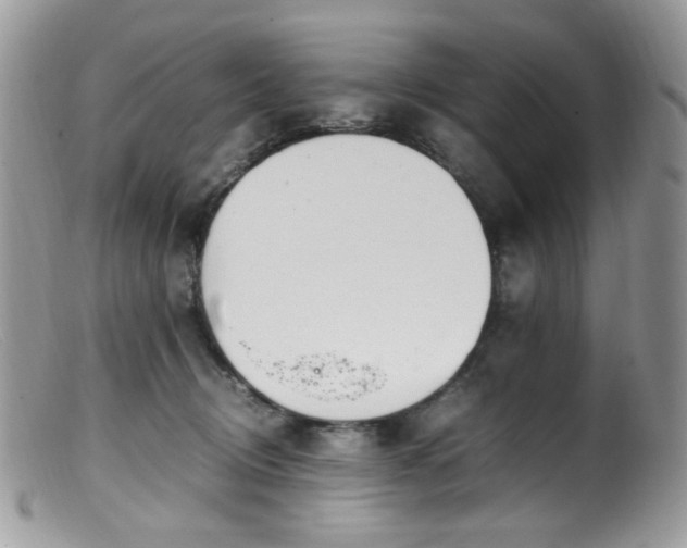 X0000099400370200805151711