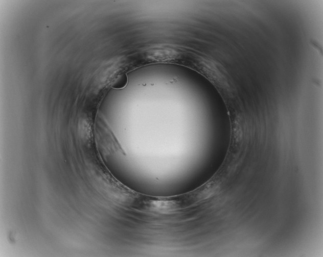 X0000099400371200805151711