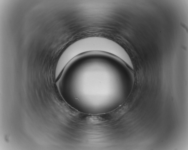 X0000099400372200805151711