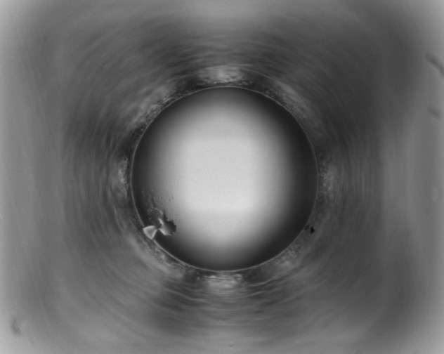 X0000099400373200805151711