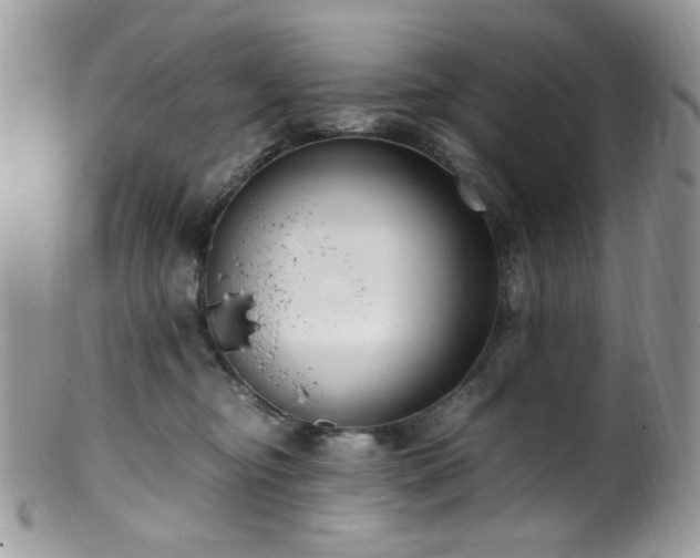 X0000099400374200805151711