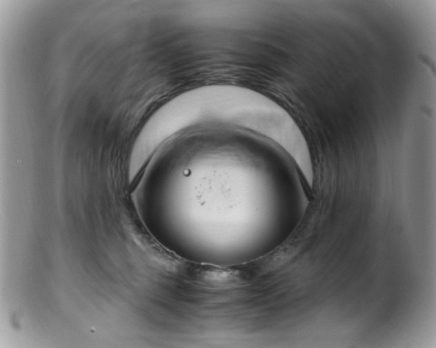 X0000099400375200805151711