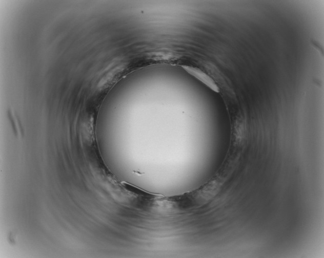 X0000099400376200805151711