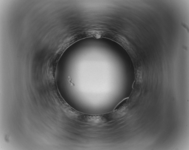 X0000099400377200805151711