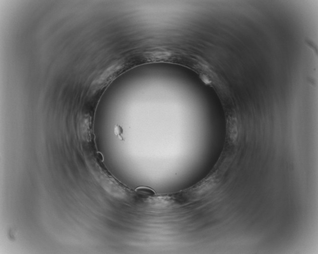 X0000099400378200805151711