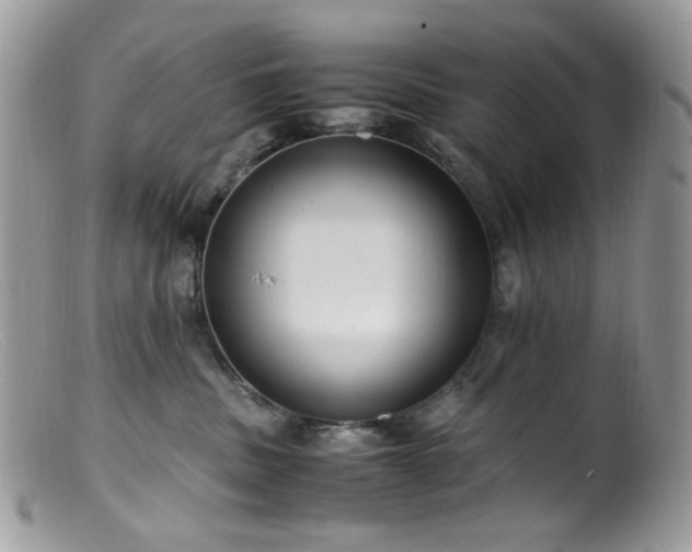 X0000099400379200805151711