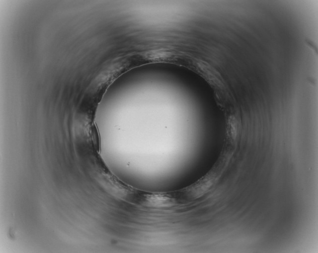 X0000099400380200805151711