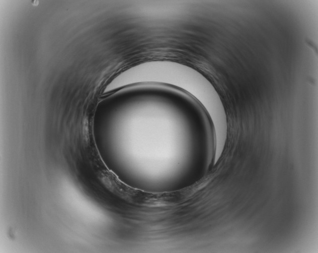 X0000099400381200805151711