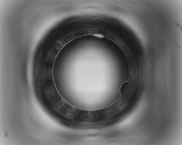 X0000099400383200805151711