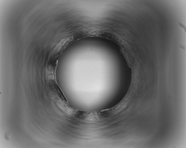 X0000099400384200805151711