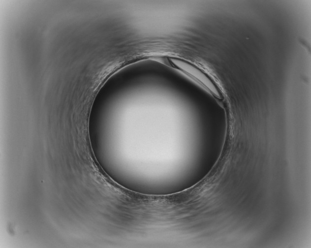 X0000099400385200805151710