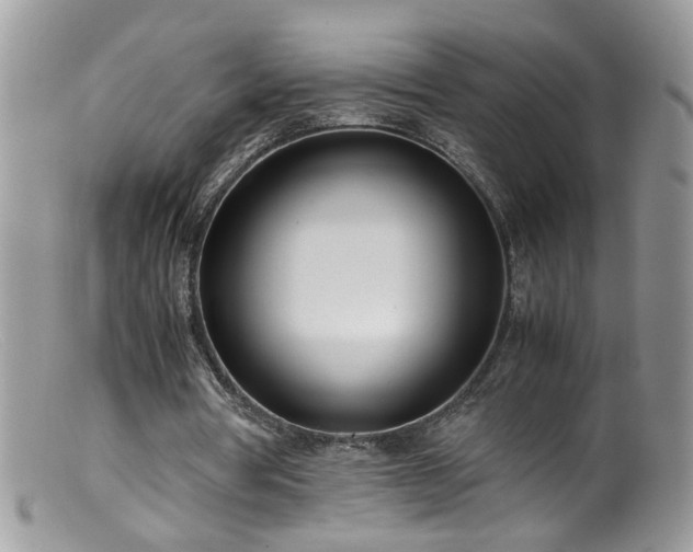 X0000099400386200805151710