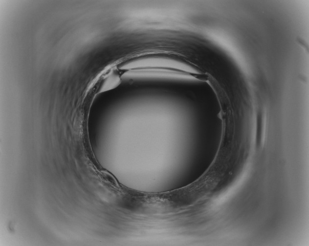 X0000099400387200805151710