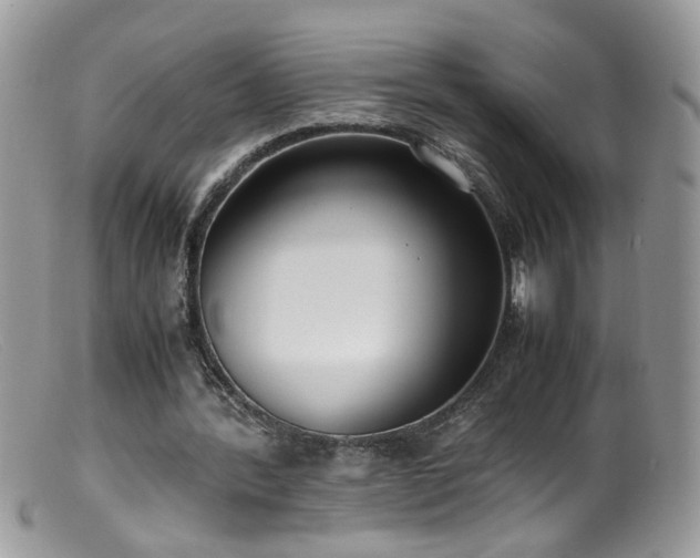 X0000099400388200805151710