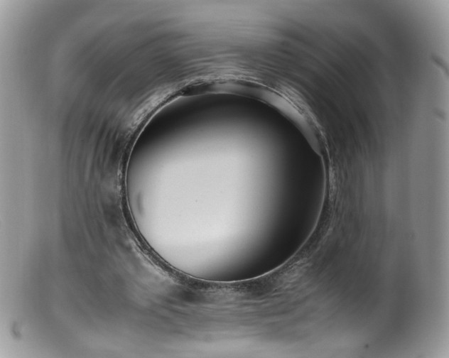 X0000099400389200805151710