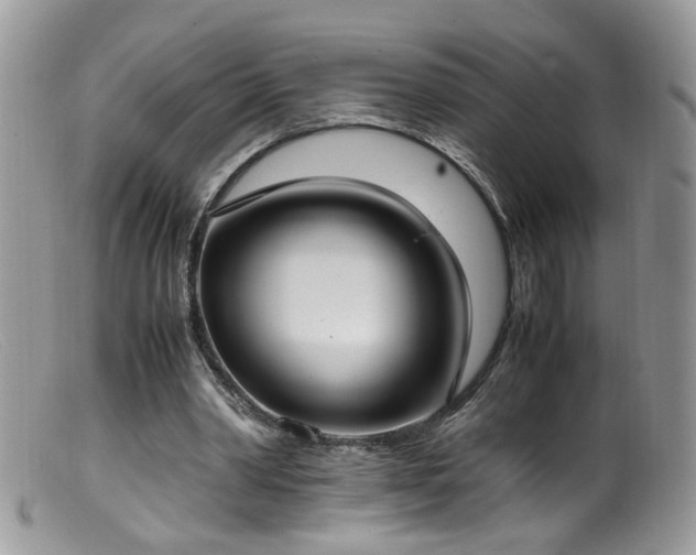 X0000099400390200805151710