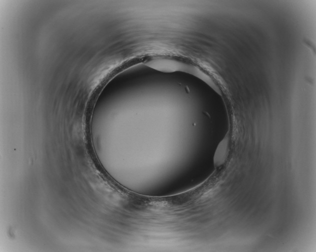 X0000099400391200805151710