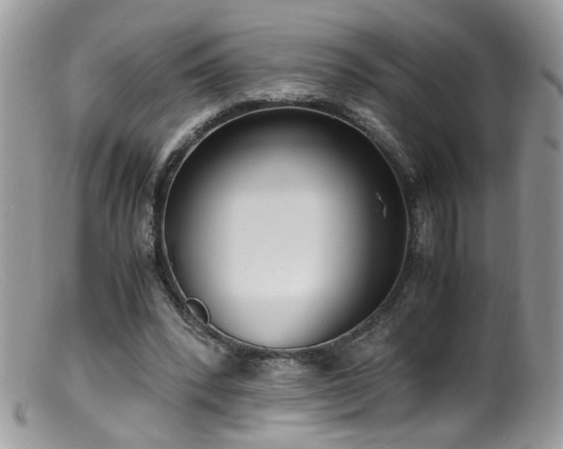 X0000099400392200805151710