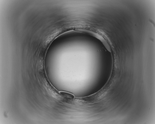 X0000099400393200805151710