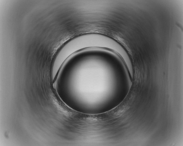 X0000099400394200805151710