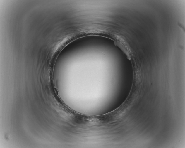 X0000099400395200805151710