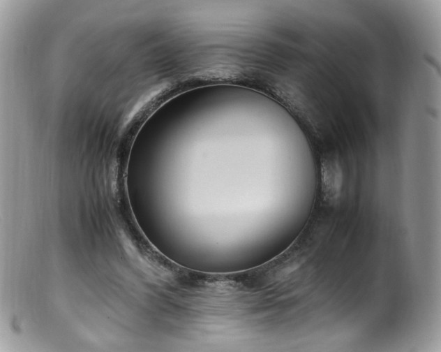 X0000099400396200805151710