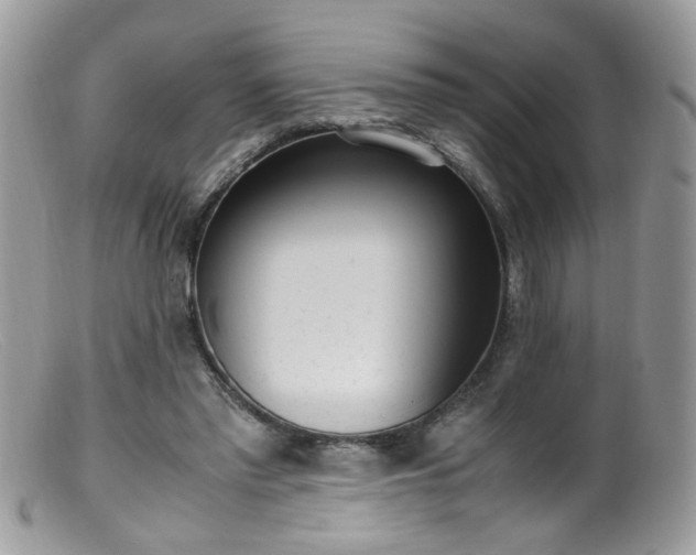 X0000099400397200805151710