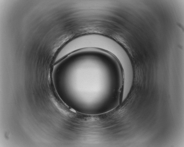 X0000099400398200805151710