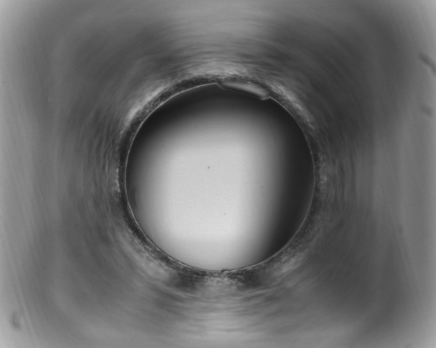 X0000099400399200805151710