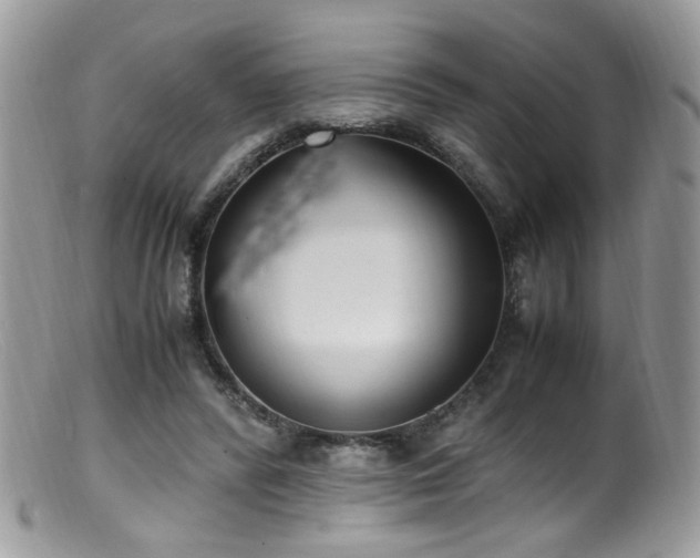 X0000099400400200805151710