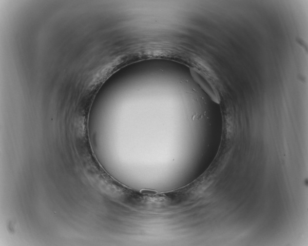 X0000099400401200805151710