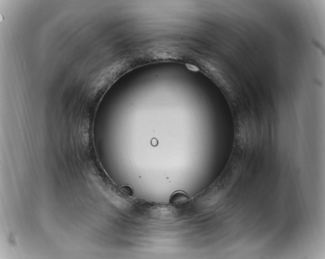 X0000099400402200805151710