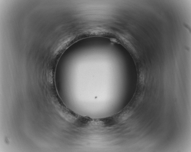 X0000099400403200805151710