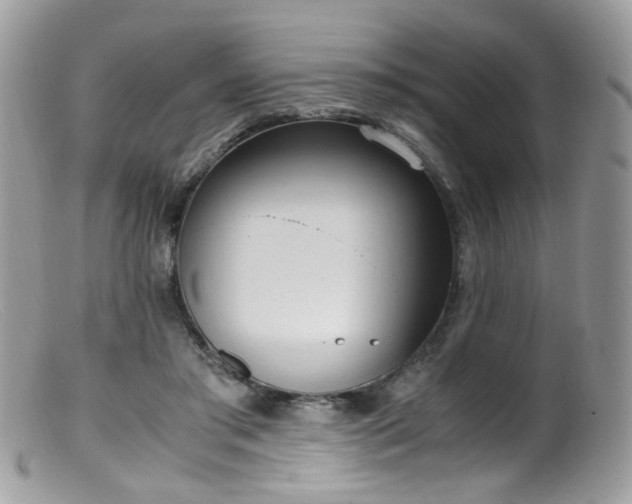 X0000099400405200805151710