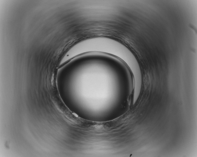 X0000099400406200805151710