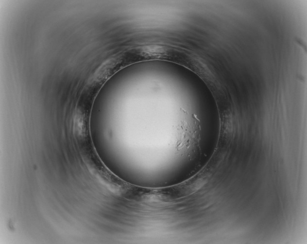 X0000099400408200805151710