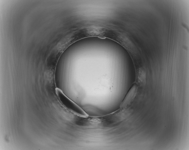 X0000099400409200805151710