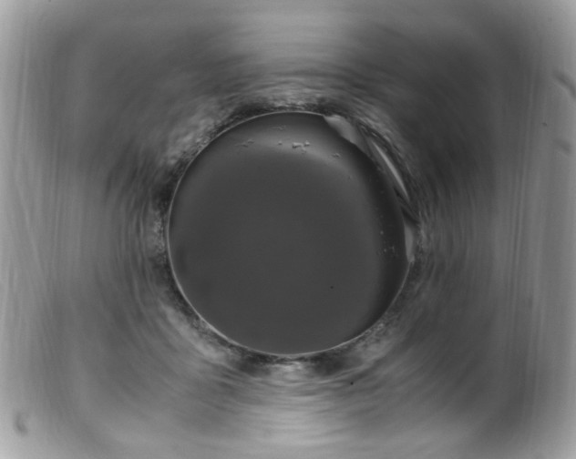 X0000099400411200805151710