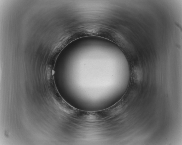 X0000099400412200805151710