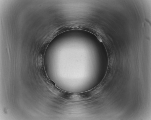 X0000099400413200805151710