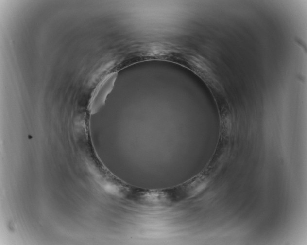 X0000099400415200805151710