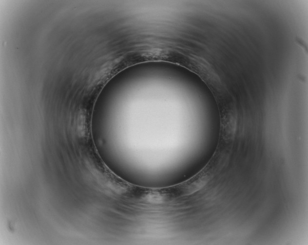 X0000099400416200805151710