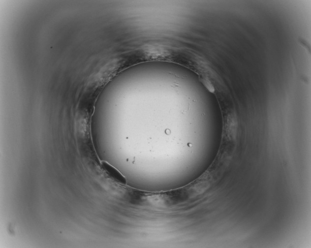 X0000099400417200805151710