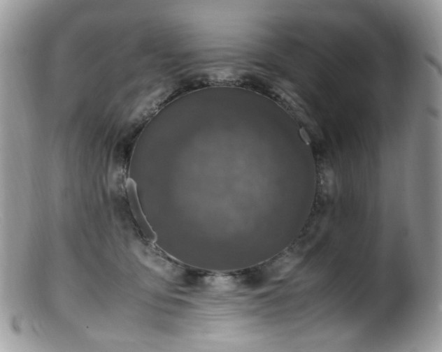 X0000099400419200805151710