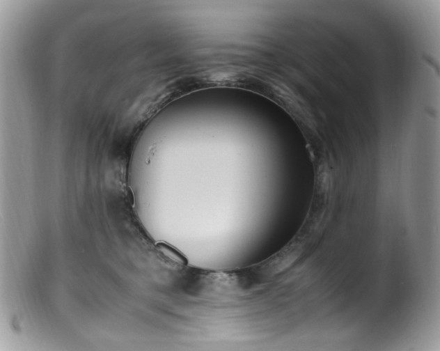 X0000099400421200805151710