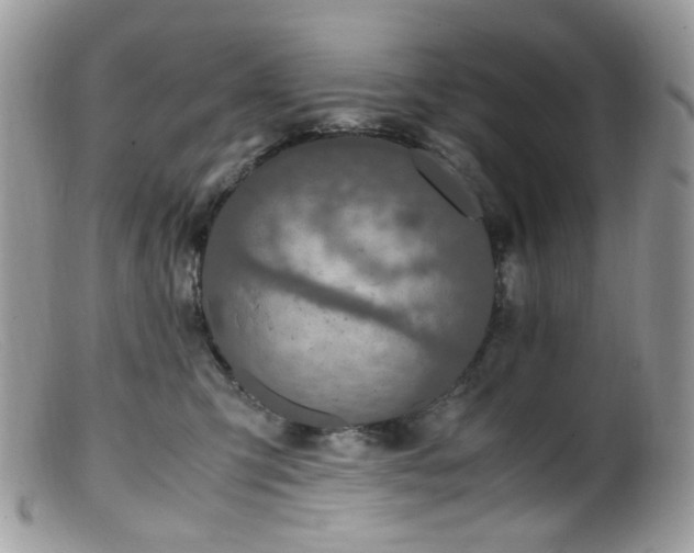 X0000099400423200805151709