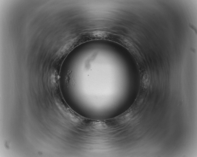 X0000099400424200805151709